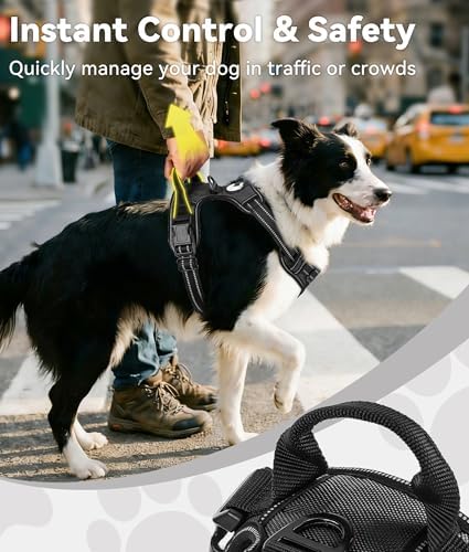 Joytale No Pull Dog Harness Medium Sized Dog, Front Clip - Image 3