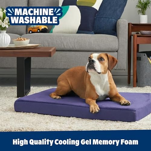 BarkBox Orthopedic Dog Bed - Image 5