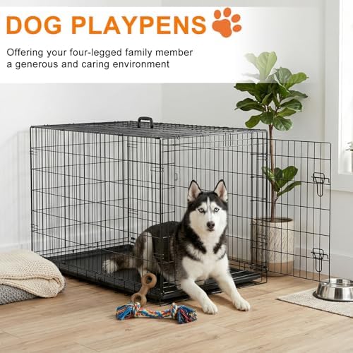 FDW | 48" Foldable Metal Dog Crate | Black | Cage - Image 2