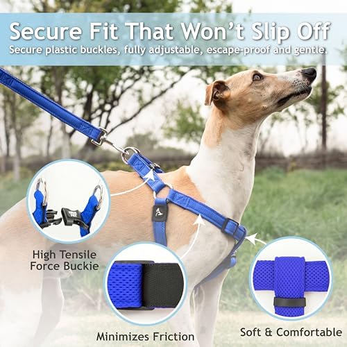 Kruz No Pull Dog Harness Heavy-Duty Pet Harness - Image 2