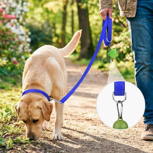 Joytale Reflective Dog Leash for Medium & Large Dogs, 5 FT x 1" - Image 2