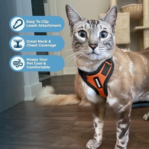 Voyager Step-in Lock Cat Harness & Leash Set - Image 5