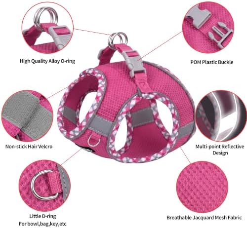 AIITLE XXS Dog Harness & Leash Set - Image 3