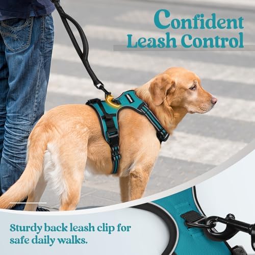 rabbitgoo Dog Harness, No Pull for Large Dogs - Image 6