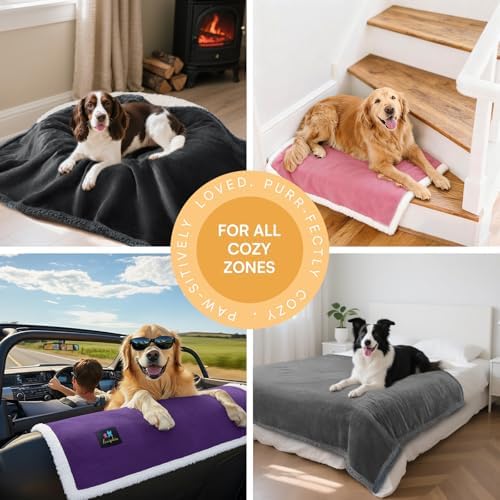 Luciphia Waterproof Bed Blanket Washable, Soft Sherpa Fleece Puppy Reversible - Image 4