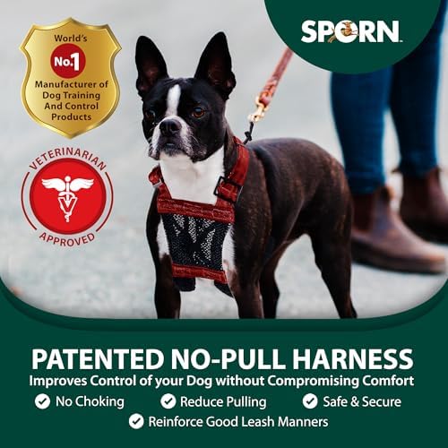 Sporn XS No Pull Dog Harness for Small Sized Dogs - Image 2