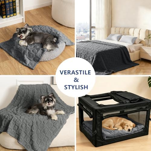 gogobunny Large Pet Blanket for Dogs Cats, Ultra Soft 300GSM Coral Fleece - Image 4