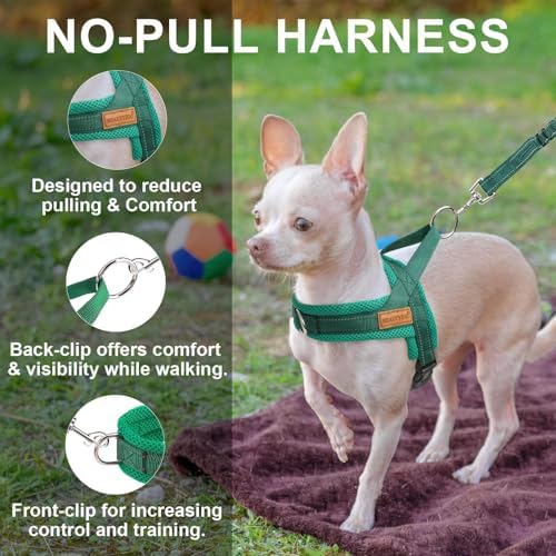 BEAUTYZOO Dog Harness Medium Sized and Leash Set, No Pull Step in Pet Vest - Image 6