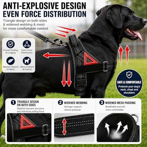 Adjustable Dog Harness No Pull - Image 4