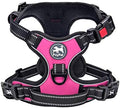 PoyPet No Pull Dog Harness Medium by PoyPet