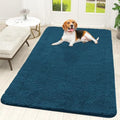OLANLY Dog Door Mat for Muddy Paws 70x46, Super Absorbent Chenille Mud Mat by OLANLY