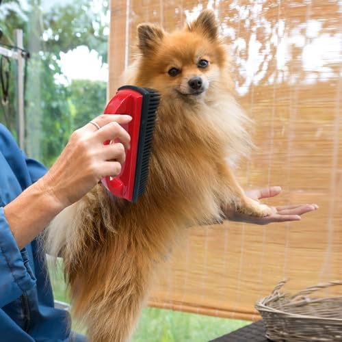 Rubber Pet Hair Removal Brush Lint & Hair Removal Cat Dog Brush Silicone Lint - Image 5