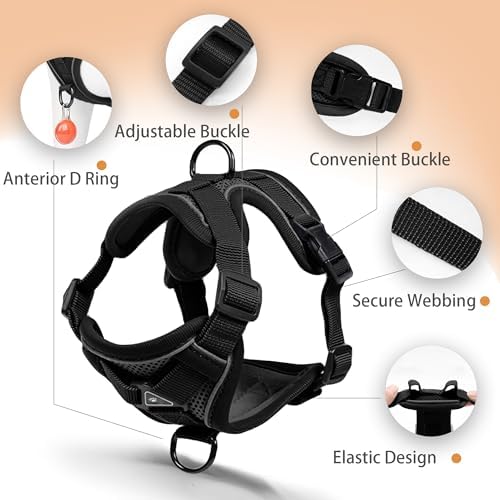 Dog Harness Small Sized Dog Pet Vest - Image 3