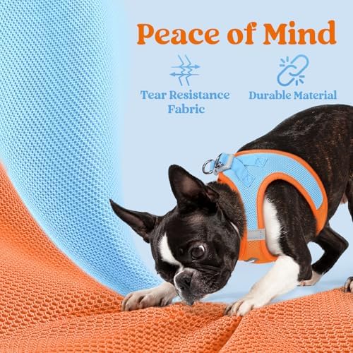 rabbitgoo Step-in Small Dog Harness, Puppy Vest - Image 4