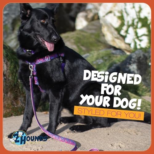 2 Hounds Design - Image 7