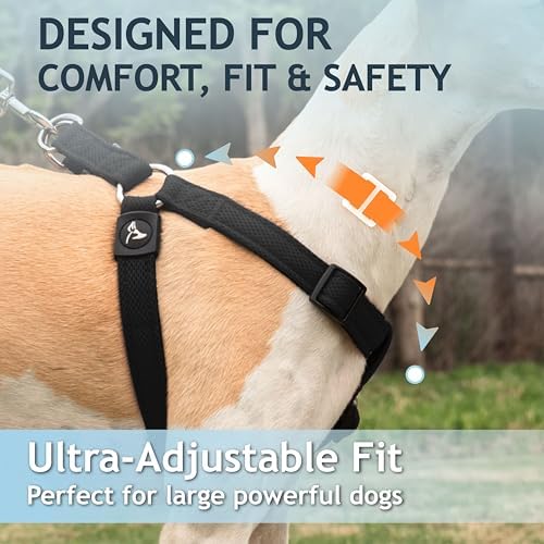 Kruz No Pull Dog Harness Heavy-Duty Pet Harness - Image 4