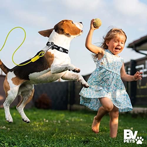 BV Dog Tie Out Cable 25 Feet - Image 7
