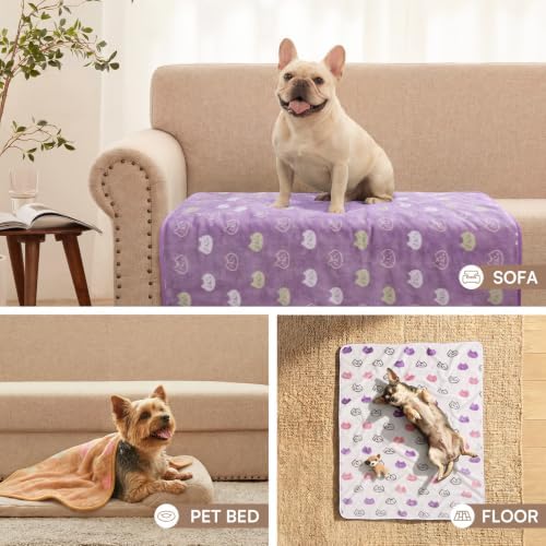 Luciphia 1 Pack 3 Blankets Super Soft Fluffy Premium Cute Cat Pattern Pet - Image 6