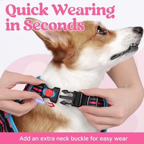 rabbitgoo Dog Harness Small Sized, No Pull 3 Buckles Easy On & Off - Image 2