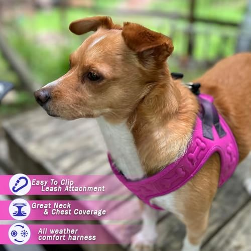 Comfort Fit No Pull Dog Harness - Image 2