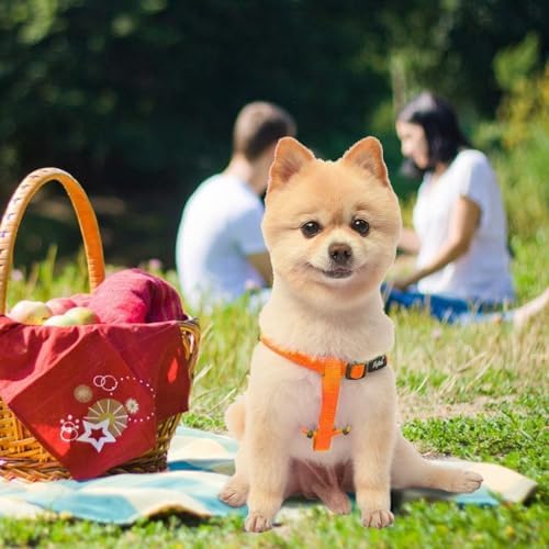 PUPTECK No Pull Dog Harness Small Sized Step-in Adjustable Puppy Vest - Image 6