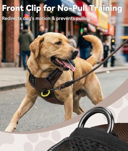 Joytale No Pull Dog Harness for Large Dogs, Front Clip - Image 2