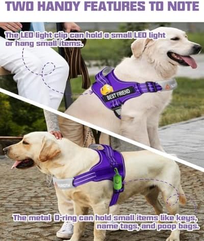 AUROTH Dog Harness and Leash Set Small Sized Dog, No Pull Escape Proof Vest - Image 5