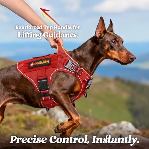 rabbitgoo Tactical Dog Harness for Medium, Heavy Duty Military No Pull Vest - Image 3