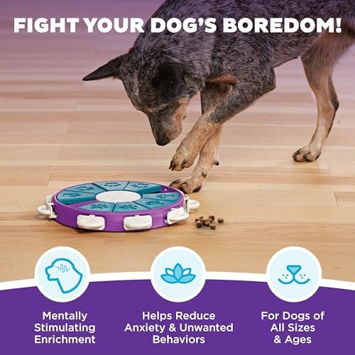 Outward Hound Nina Ottosson Dog Twister Dog Toy Treat Puzzle - Image 2