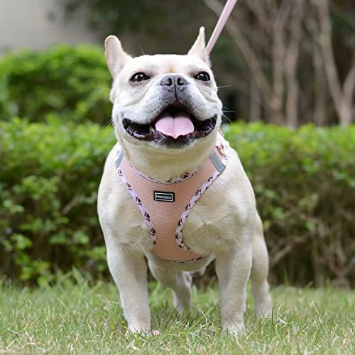 Mercano Soft Mesh Dog Harness and Leash Set, Step-in Reflective Breathable - Image 5