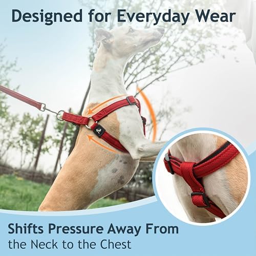 No Pull Dog Harness Medium Size Dog | Adjustable Heavy Duty Pet Harness - Image 6