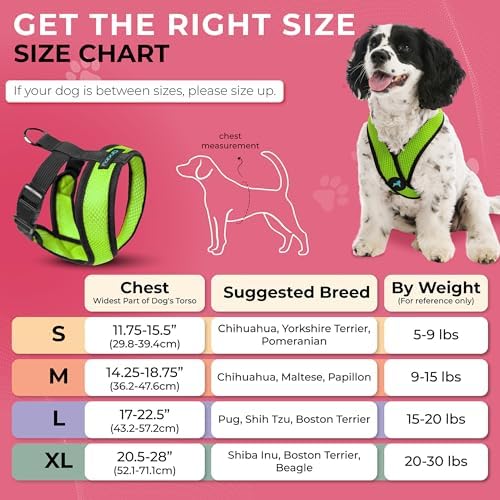 Gooby Comfort X Head-in Dog Harness, Choke-Free - Image 5