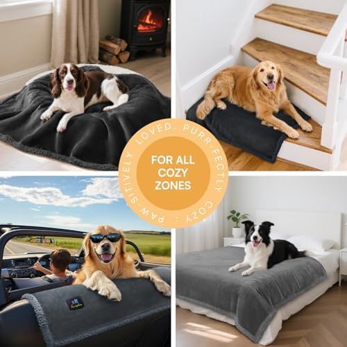 Luciphia Waterproof Bed Blanket Washable, Soft Sherpa Fleece Puppy Reversible - Image 5