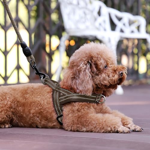 Plutus Pet No Pull Dog Harness for Large Dogs, Breathable Mesh Padded - Image 6