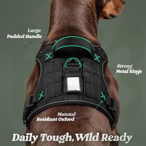 rabbitgoo Tactical Dog Harness for Large Dogs, No Pull Service Pet Vest - Image 6