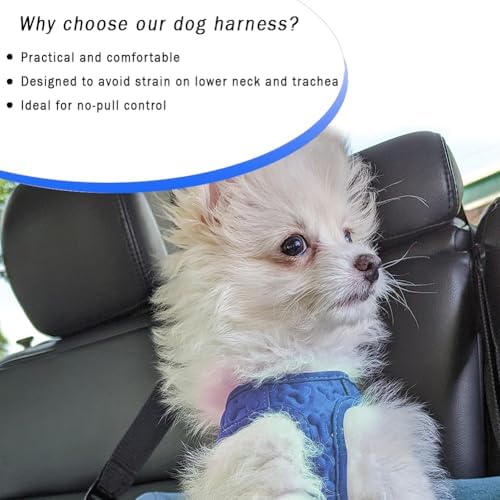 Comfort Fit Dog Harness Soft Padded No Pull Harness - Image 6