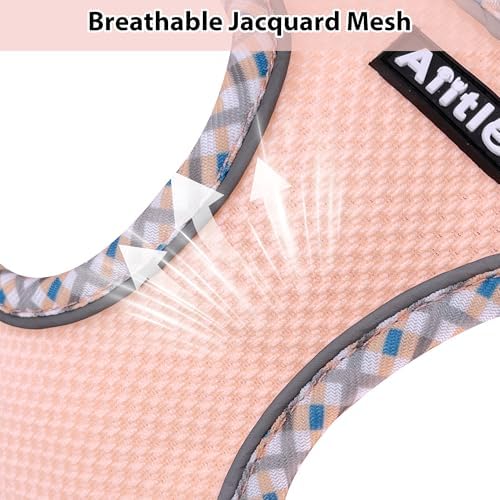 AIITLE Dog Harness Small Sized and Leash Set, Turquoise-Pink XXXS - Image 5