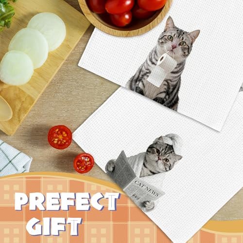 Cat Kitchen Towels Decor Set of 2 - Image 5