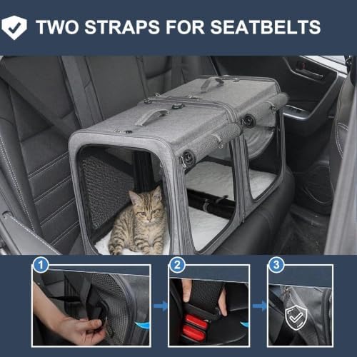Extra Large Cat Carrier for 2 Cats - Image 3