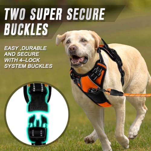 BARKBAY Dog Harness No Pull for Small Sized Dog Front Back Clips, Dog Vest - Image 4