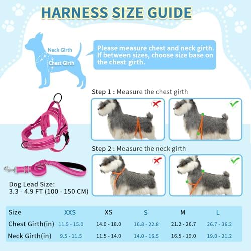 SlowTon No Pull Small Dog Harness and Leash Set - Image 5