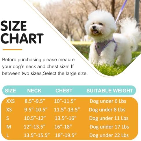 Dog Harness and Leash Set - Image 6