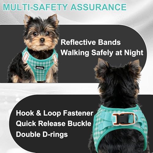 AIITLE Step in Small Dog Harness and Leash Set, Pet Vest, Turquoise XS - Image 2