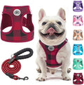 BEAUTYZOO Small Dog Harness and Leash Set, Step in No Choke No Pull Soft Mesh by BEAUTYZOO