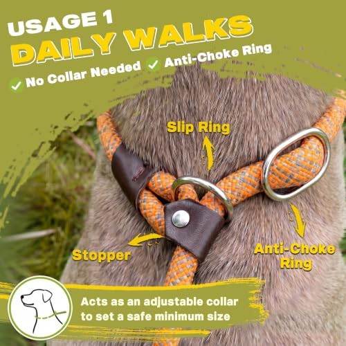 Fida Durable Slip Lead Dog Leash, 6 FT x 1/2" Dog Training Leash - Image 4