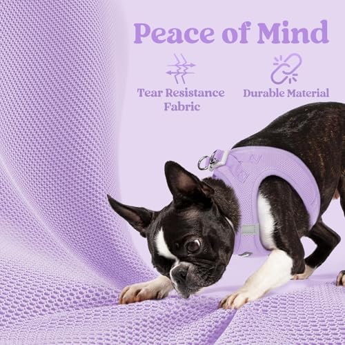 rabbitgoo Step-in Small Dog Harness, Puppy Vest - Image 4