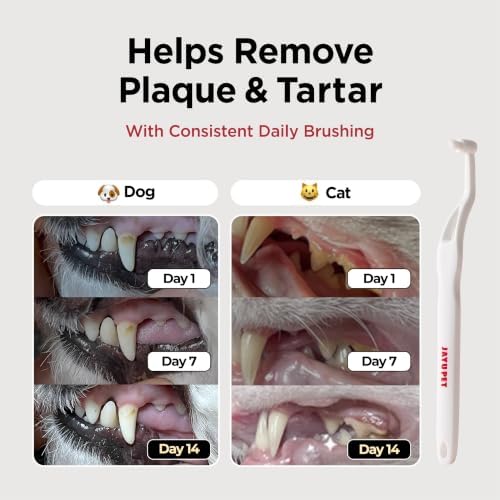 JAYU PET Dental Care Brush - Image 3