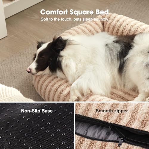 MIXJOY Dog Beds for Small Dogs Cats, Washable Dog Bed - Image 5