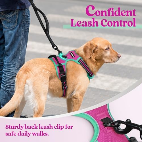 rabbitgoo Dog Harness, No Pull Medium Sized - Image 6