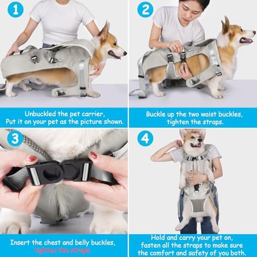 PetBonus Dog Front Carrier Backpacks, Legs Out Easy-fit Puppy Chest Carrier - Image 4